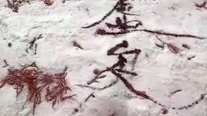 Каллиграфия на снегу | Snow calligraphy