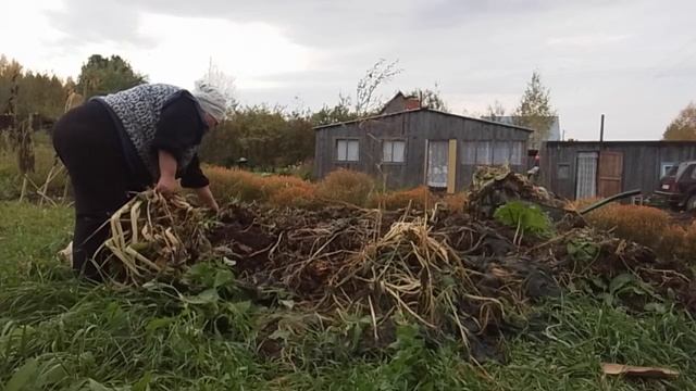 Чем Гульнара занимается осенью на огороде?!