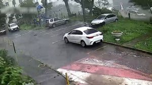 Момент падения дерева в одном из дворов Москвы (20 июня 2024 г.)