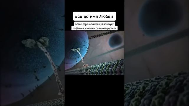 УНИВЕРСАЛЬНЫЙ ЯЗЫК ЛЮБВИ