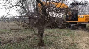ВЫКОРЧЕВКА КОРНЕЙ ,РАСЧИСТКА САДОВ,СЕЛЬХОЗ ПОЛЕЙ,ЛЭП,ГАЗОПРОВОДА.АРЕНДА,УСЛУГИ МУЛЬЧЕРА ИЗМЕЛЬЧИТЕЛЯ