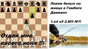 Провокационная Защита Дамиано (Damiano Defense) 1.е4 е5 2.Кf3 f6?!