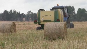 тюкование соломы от рапса. Вместе с ЗАЙЦАМ