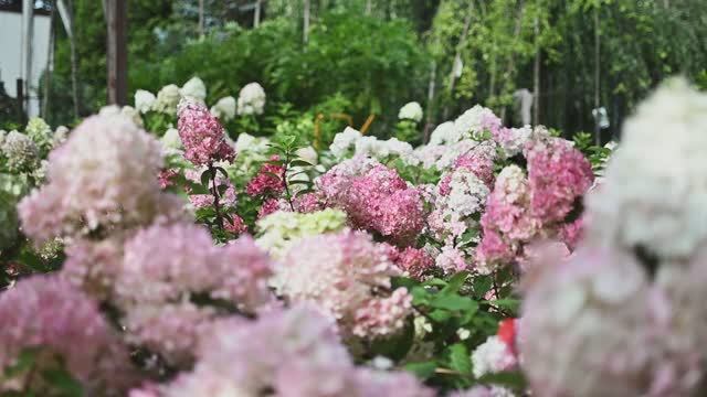 Садовый Центр Парк. Калининград Дзержинского 205А