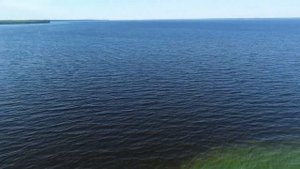 Горьковское водохранилище. Июль 2022