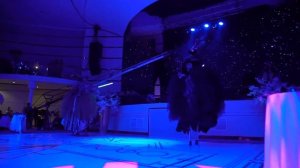 Эксклюзивное световое шоу в стиле Гетсби от Salamandra