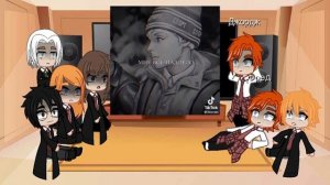 Реакция Гарри Поттера на Tiny Bunni