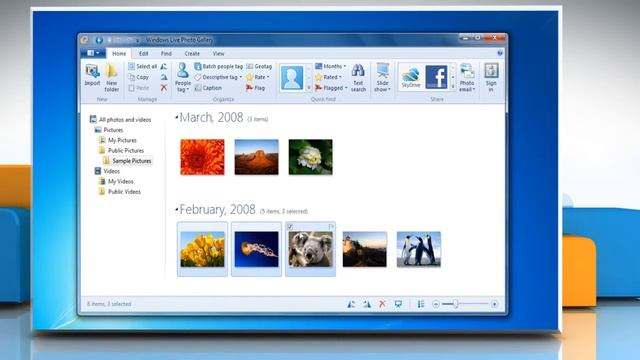 Windows® Live Photo Gallery: Share a photo as an Email attachment