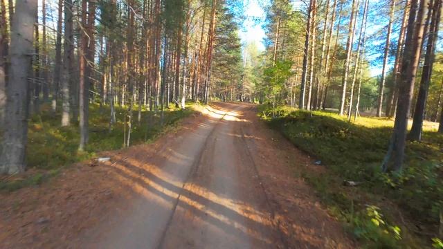осенняя мелодия