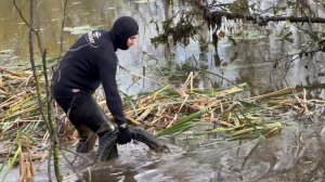 Чистые пруды: экологическая акция в Солнечногорске