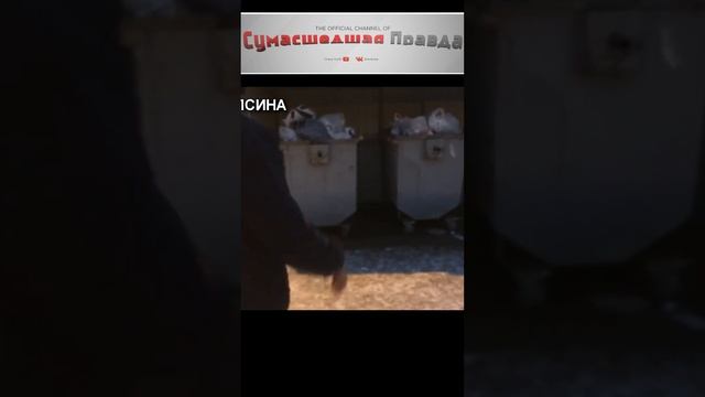 Почему нельзя выносить мусор ночью?#почему#примета#мусор#нельзя#выносить#