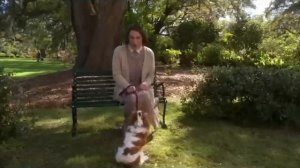 Little Britain - MrDoggy