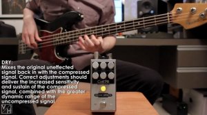 Origin Effects Cali76 Compact Bass Compressor - DEMO