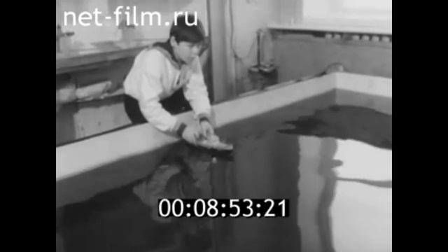 1979г. Саратов.  судомодельный кружок смотреть онлайн