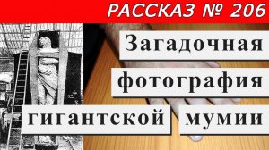 Рассказ № 206 Загадочная фотография гигантской мумии.