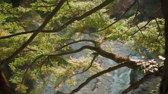 Отдохнем в Японии, релакс продолжение смотреть онлайн