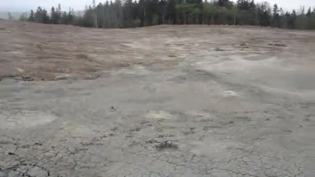 Hummer, Safari & Toyota - 10 смотреть онлайн