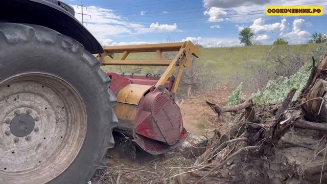 Лето-2022 / Мульчер и два экскаватора против пней ЧАСТЬ 1-я.