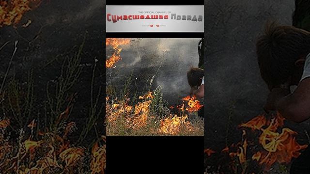 Опасности, поджидающие на шашлыках. №1 #опасно#природа#шашлыки#поджидает#
