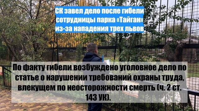 Приводит к тому что после. Приводит к тому что после