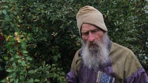 Сбор яблок - вкусно и полезно - Потеряевка Архив 2020