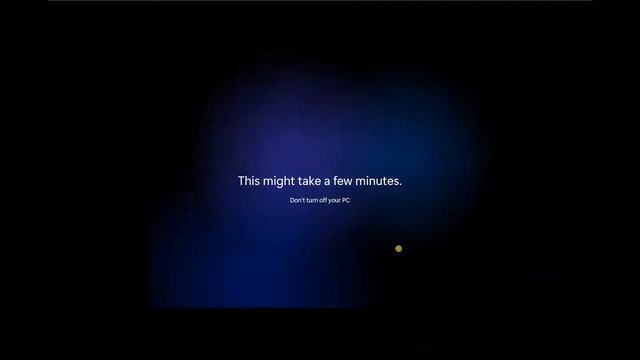2GB Windows 11 (Also known as Tiny 11)