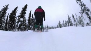 Never Summer Swift Snowboard Review