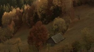 a playlist to romanticize autumn evenings