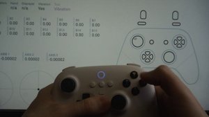 8BitDo Ultimate 2.4G — Турбо-кнопка