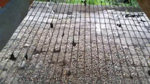 Сетка для кроликов. Пол в клетке