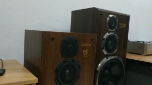 Что выбрать: колонки Diatone DS-66Z или Diatone DS-77HRX?