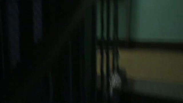 Сетчатая шахта лифта смотреть онлайн