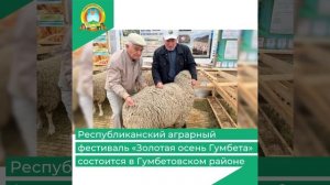 Республиканский аграрный фестиваль «Золотая осень Гумбета» состоится в Гумбетовском районе