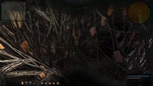 Возвращение Шрама 2.  Где искать тайник Стрелка на Болотах !!