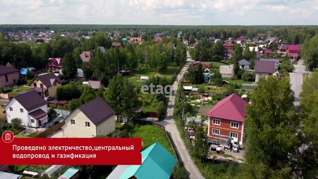 Березняки