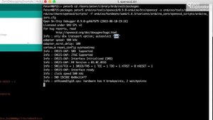 Setting up and starting OpenOCD and GDB