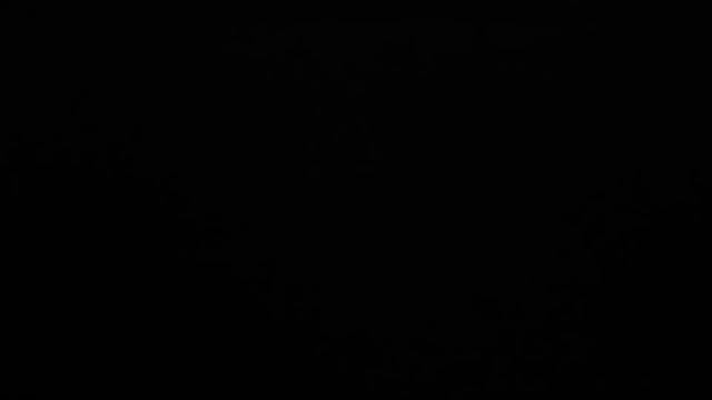 My Computer Collection (April 12, 2022) Part 2/3 смотреть онлайн