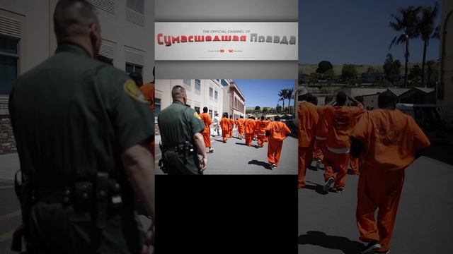 5 признаков по которым преступники выбирают жертву Признак №3