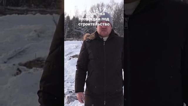 Расчистка площадки от деревьев и корней под строительство  #мульчер #расчисткаподстроительство
