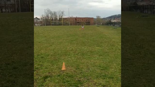 Messi Maradona Test! Good Luck! Test yourself! смотреть онлайн