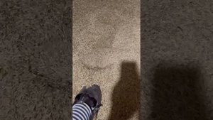 Работа зернодробилки Вектор у клиента