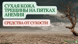 Сухая кожа, ломкие ногти, трещины на пятках? Что делать — ответ врача
