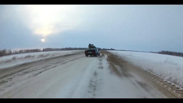 Cardan (Новогодняя серия)