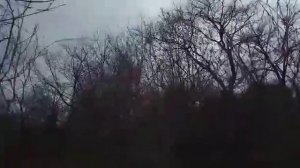 Мои воспоминания и прогулка с Жулей  .