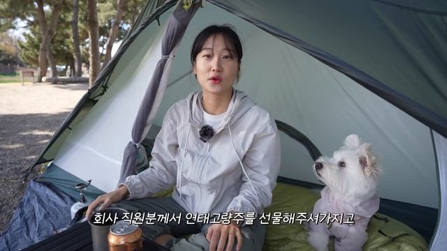 【애견동반 백패킹】 초보 백패커를 위한 20분컷 오션뷰 / 다이소 찜기에 양꼬치 구워 연태고량주 한잔 / 30살 여자의 아재감성 / 홍성 죽도 야영장 / 솔로캠핑 / 캠핑브이로그