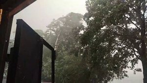 Лето 2024. К такому нас жизнь не готовила)