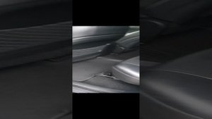 20241016_165745_1.mp4
