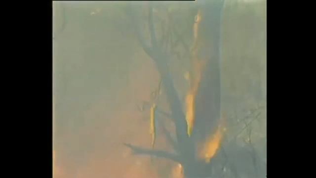 БЖД Лекция 2 смотреть онлайн