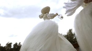 Светлые ходулисты на встречу гостей