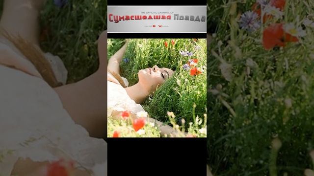 Опасности поджидающие на шашлыках.№4#опасности#шашлыки#поджидает#мусор#осторожно#
